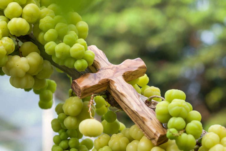 Fruitfulness 8
