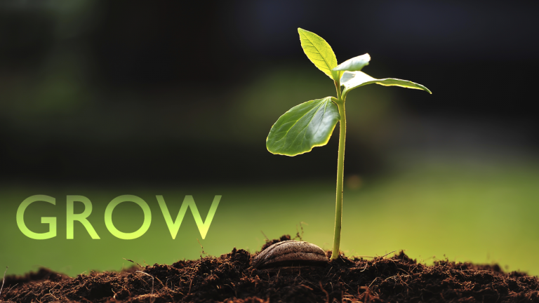 Courage 5 – Courage to grow