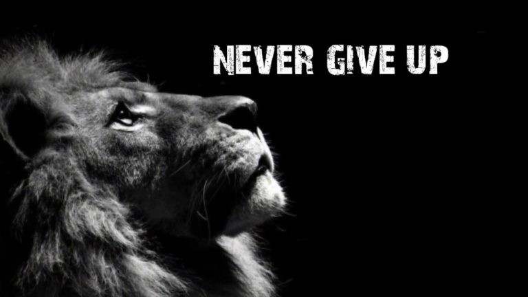 Courage 4 – Never give up