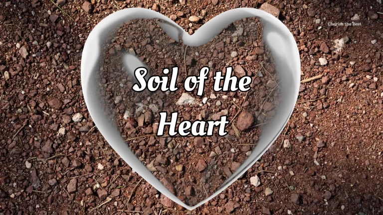 Soil Of Our Hearts